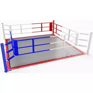 Ring de Boxe au Sol avec Bâche et Tapis